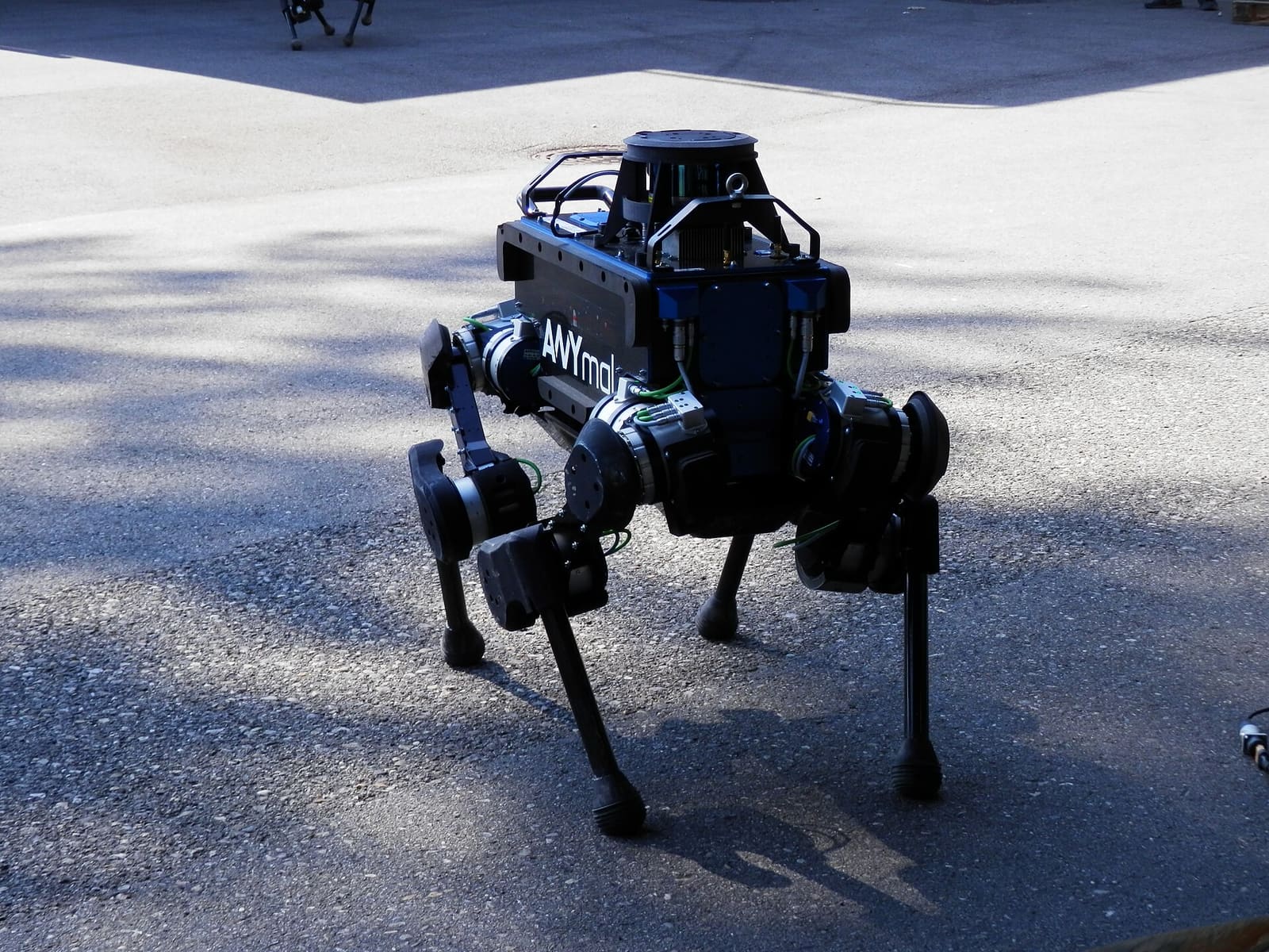 Četveronožni robot ANYmal na asfaltu, sličan robotu RAIBO2